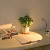 USB Sunset Sunset Ambiance Light Self Photography Light LED Rainbow Neon Night Light Projector Photography Wall Atmosphere Light